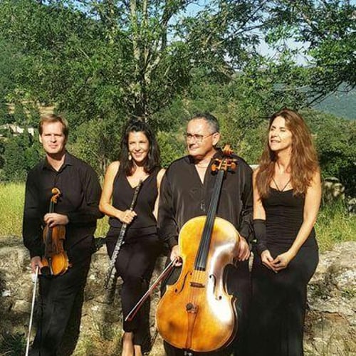 Festival International de Harpe d'Occitanie 1