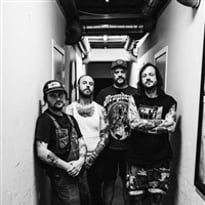 Cancer Bats