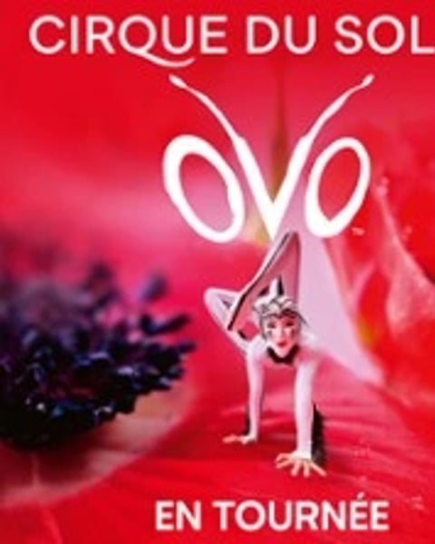 Cirque du Soleil: OVO