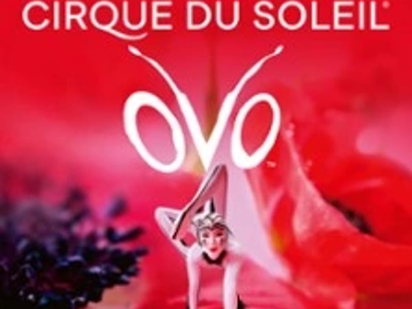 Cirque du Soleil: OVO