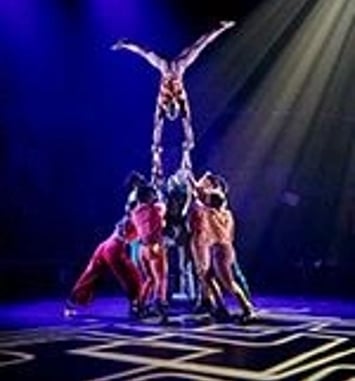 Moya, Zip Zap Circus