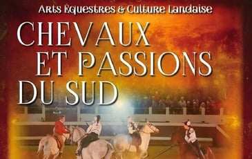 Chevaux et Passions du Sud