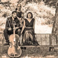 Trio Immanence