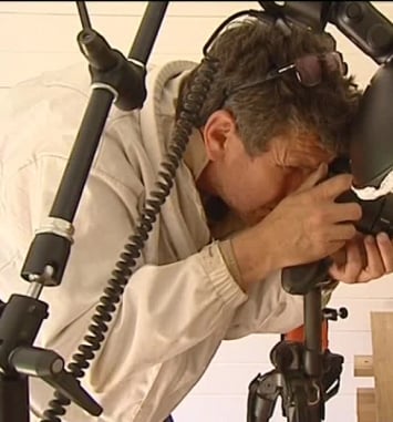Éric Tourneret, le photographe des abeilles