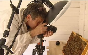Éric Tourneret, le photographe des abeilles