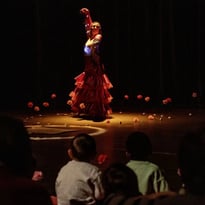 Florecika