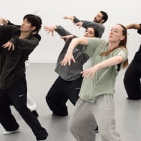 In the Brain, Hofesh Shechter