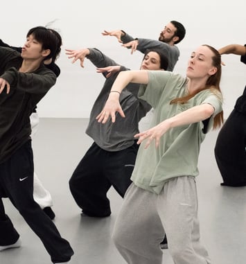 In the Brain, Hofesh Shechter