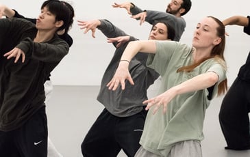 In the Brain, Hofesh Shechter