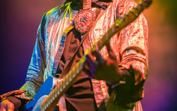Robert Finley - Fantastic Negrito