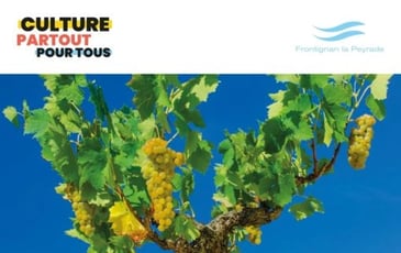 Du Grain Doré au Divin Nectar : l'AOP Muscat, 90 ans de Passion