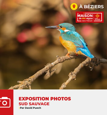 Sud Sauvage — exposition de photographie par David PUECH