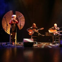 Gala de fin d'année Troupe Almas Flamencas avec repas
