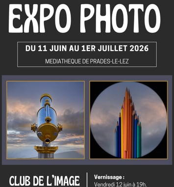 Diptyques, Deux Images, Un Regard