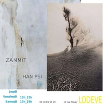 Zammit et Han Psi Peintures