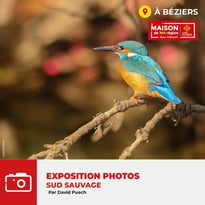 Sud Sauvage par David Puech