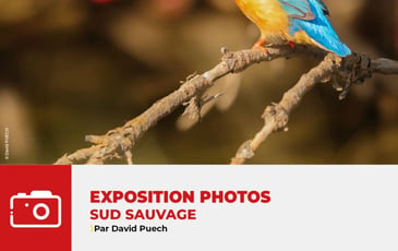 Sud Sauvage par David Puech