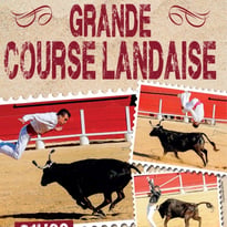 Spectacle Équestre Landais Chevaux et Passions du Sud