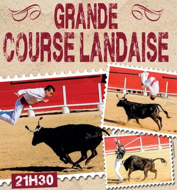 Spectacle Équestre Landais Chevaux et Passions du Sud