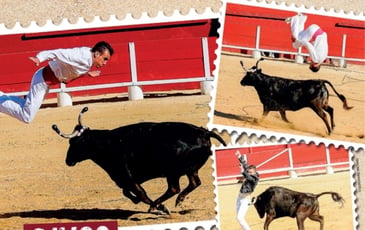 Spectacle Équestre Landais Chevaux et Passions du Sud