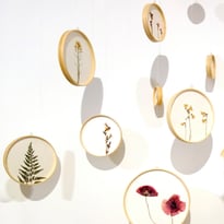 Exposition Ursula Caruel