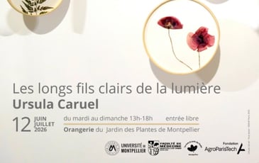 Exposition Ursula Caruel