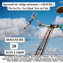 Spectacle de Voltige Aérienne