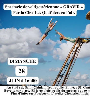 Spectacle de Voltige Aérienne