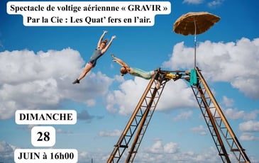Spectacle de Voltige Aérienne