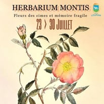 Herbarium Montis et Olivia D