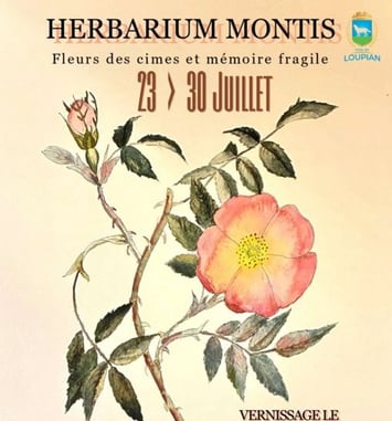 Herbarium Montis et Olivia D