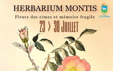 Herbarium Montis et Olivia D
