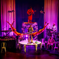 La Noce d'Alfonse - Cirque Alfonse