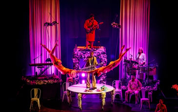 La Noce d'Alfonse - Cirque Alfonse