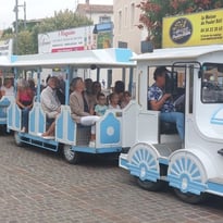 Visite guidée de Marseillan en petit train