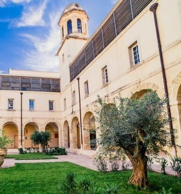 Visite guidée de la faculté de droit de Montpellier