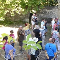 Visite commentée du four à chaux