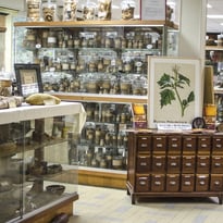Visite guidée du Droguier