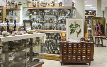 Visite guidée du Droguier