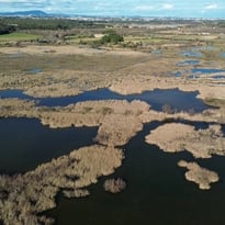 Visite commentée de la réserve naturelle nationale de l'Estagnol