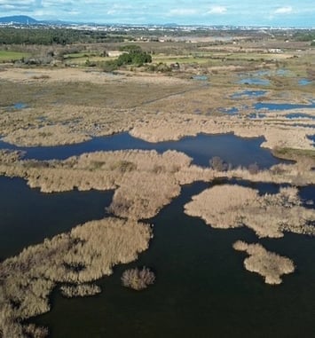 Visite commentée de la réserve naturelle nationale de l'Estagnol