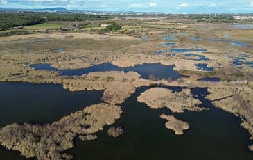 Visite commentée de la réserve naturelle nationale de l'Estagnol