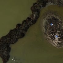 Visite du site naturel protégé des Salines de Villeneuve