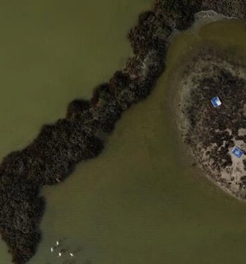 Visite du site naturel protégé des Salines de Villeneuve