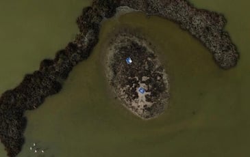 Visite du site naturel protégé des Salines de Villeneuve
