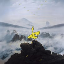 CANARD OR NOT CANARD | Fabrice Melquiot – Félicie Artaud – Cie Joli Mai
