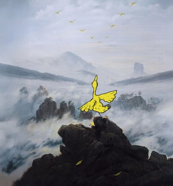 CANARD OR NOT CANARD | Fabrice Melquiot – Félicie Artaud – Cie Joli Mai