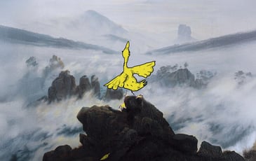 CANARD OR NOT CANARD | Fabrice Melquiot – Félicie Artaud – Cie Joli Mai