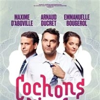 Cochons d'Inde