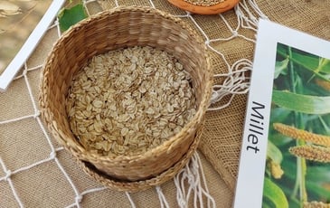 Venez découvrir la vie quotidienne gallo-romaine au comptoir antique !